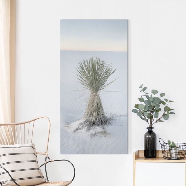 Obrazy do salonu Yucca palm in white sand