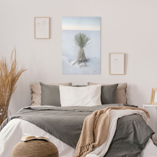 Obrazy na ścianę krajobrazy Yucca palm in white sand