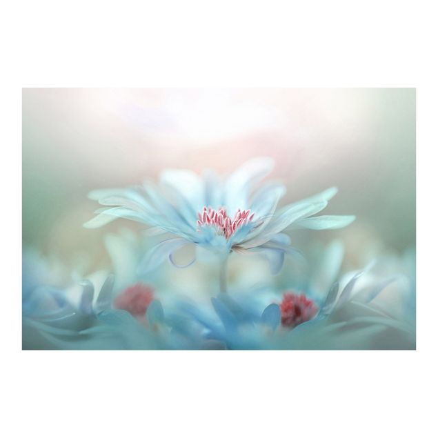 Fototapeta - Delikatne kwiaty w pastelach