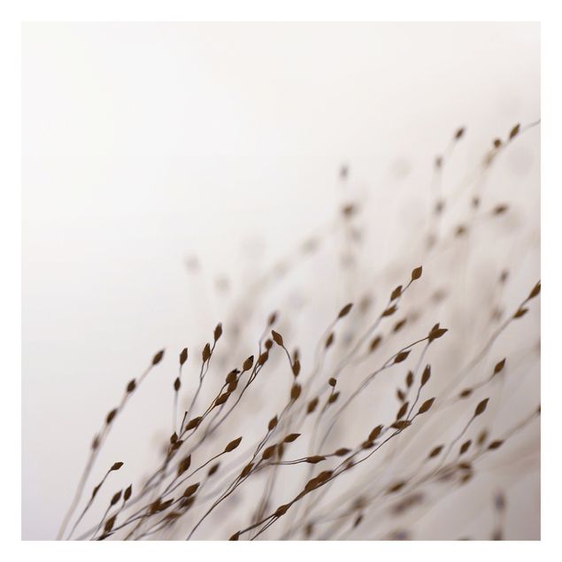 Fototapeta - Czułe trawy w lesie