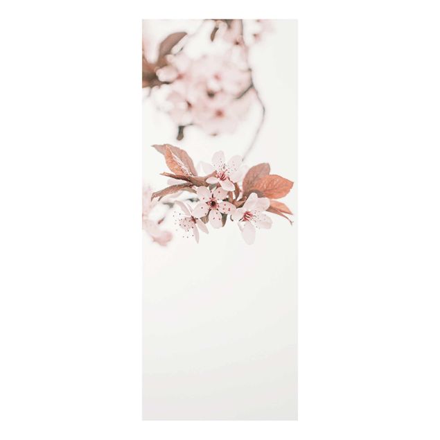 Obraz różowy Czułe kwiaty wiśni na gałęzi