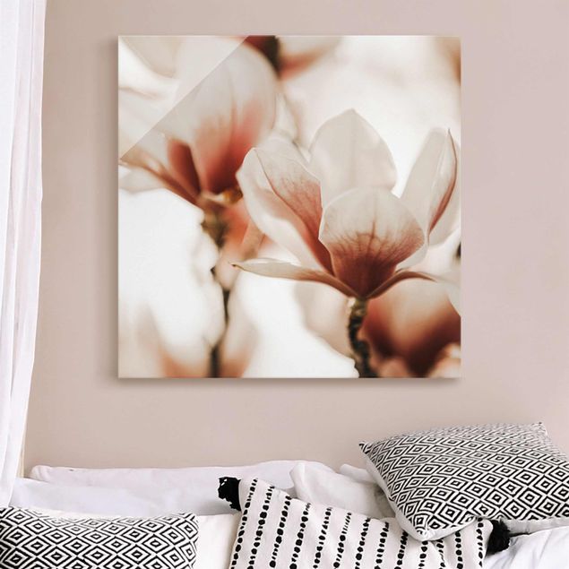 Dekoracja do kuchni Delikatne kwiaty magnolii w grze świateł