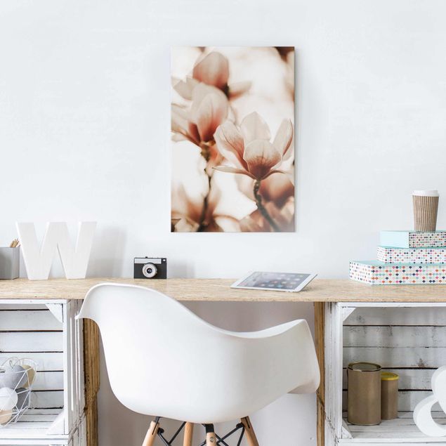 Obrazy do salonu nowoczesne Delikatne kwiaty magnolii w grze świateł