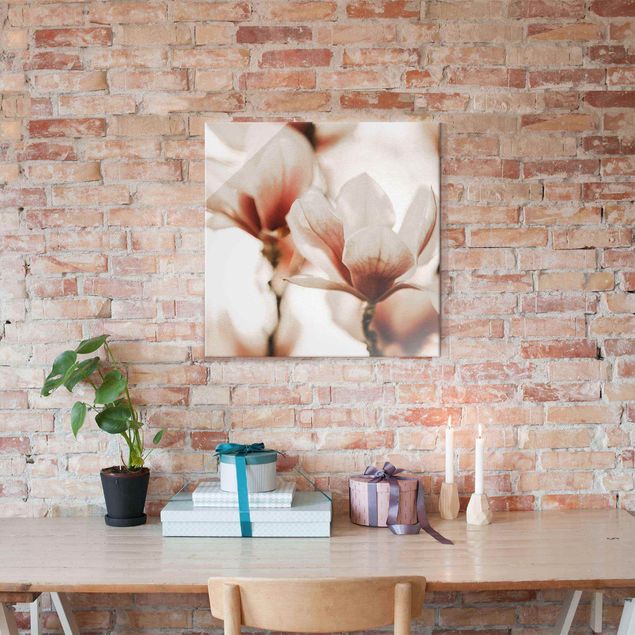 Obrazy do salonu nowoczesne Delikatne kwiaty magnolii w grze świateł