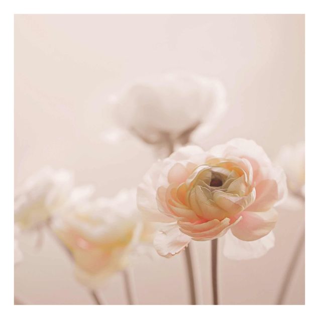 Obrazy nowoczesny Czuły krzew o różowych kwiatach