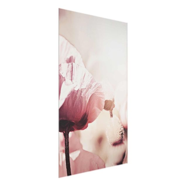 Obrazy na szkle portret Bladoróżowy kwiat maku z kroplami wody