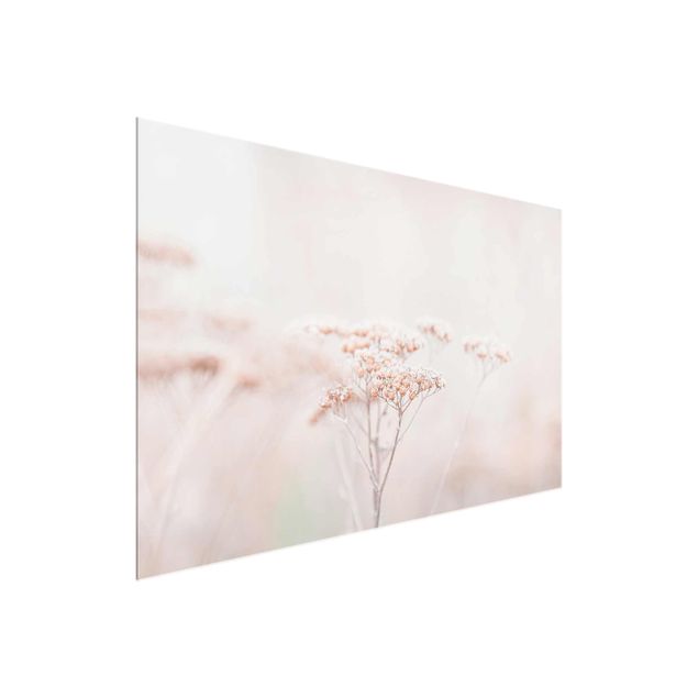 Obrazy nowoczesne Delikatne, różowe kwiaty polne