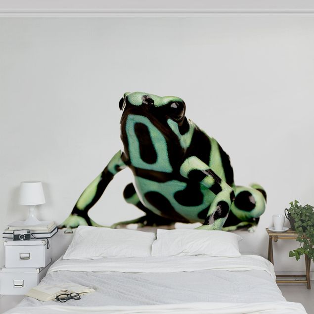 Zielone tapety Żaba zygzakowata