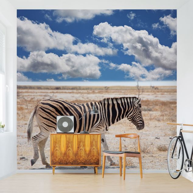 Fototapety 3d krajobrazy Zebra na sawannie