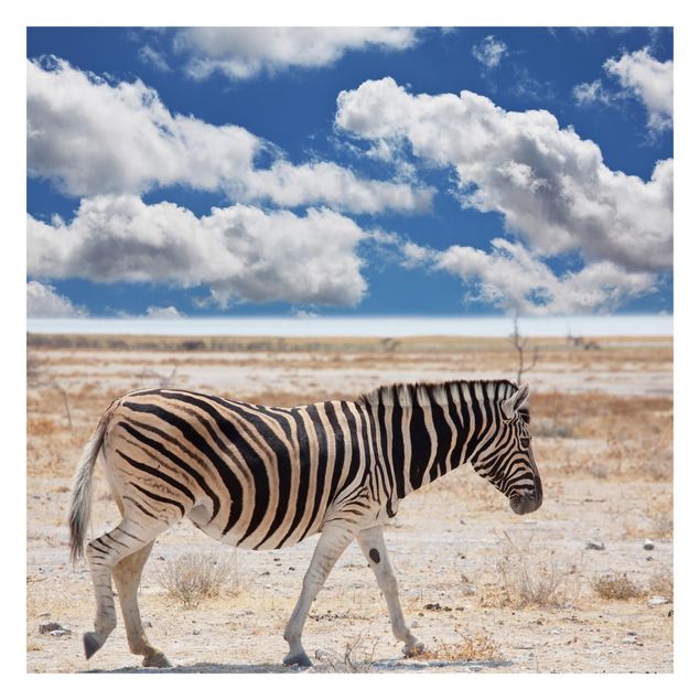 Fototapeta - Zebra na sawannie