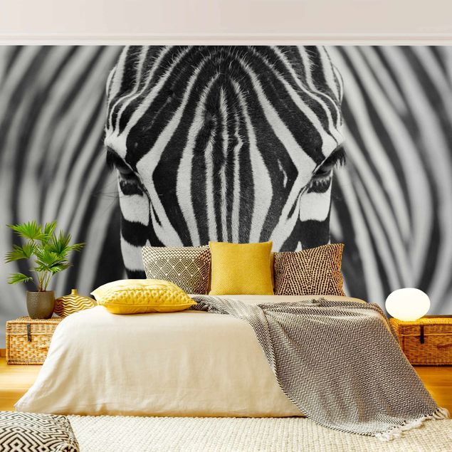 Tapety zebra Zebra Look