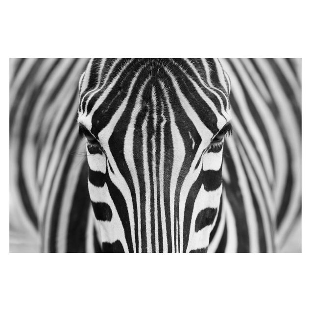 Tapeta samoprzylepna Zebra Look