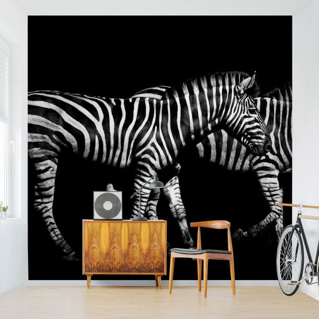 Dekoracja do kuchni Zebra przed Czarnym