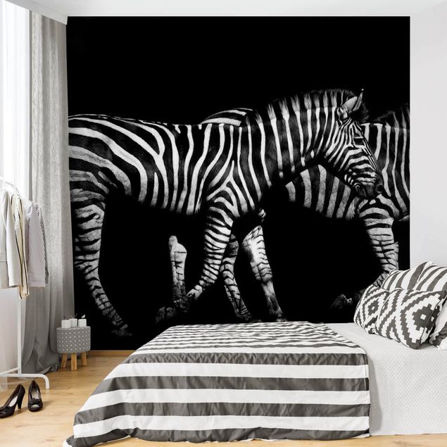 Fototapeta zebra Zebra przed Czarnym