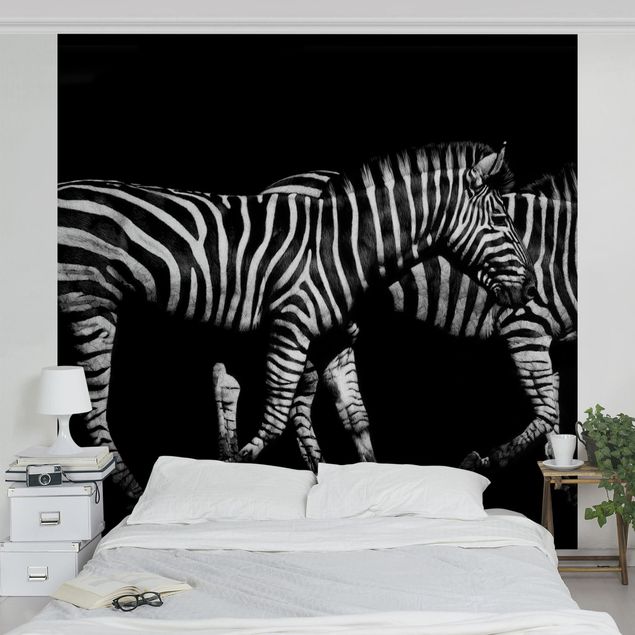 Tapety na ściany Zebra przed Czarnym