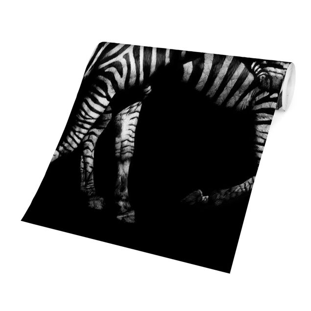 Fototapeta Zebra przed Czarnym