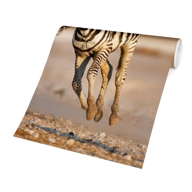Fototapety źrebię z gatunku zebra