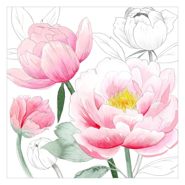 Fototapety Rysowanie różowych peonii I