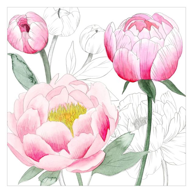 Fototapety Rysowanie różowych peonii II