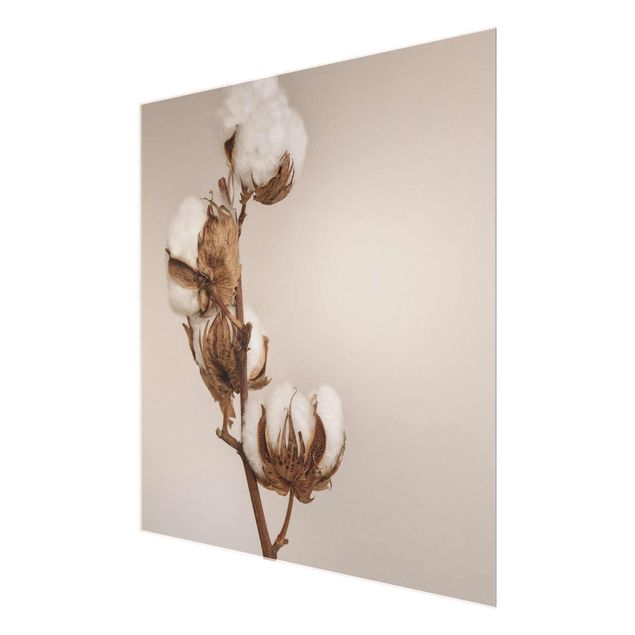 Obrazy z motywem kwiatowym Gałąź bawełniana
