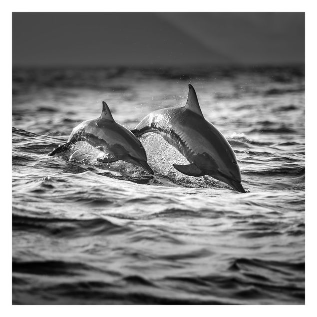 Fototapeta - Dwa skaczące delfiny