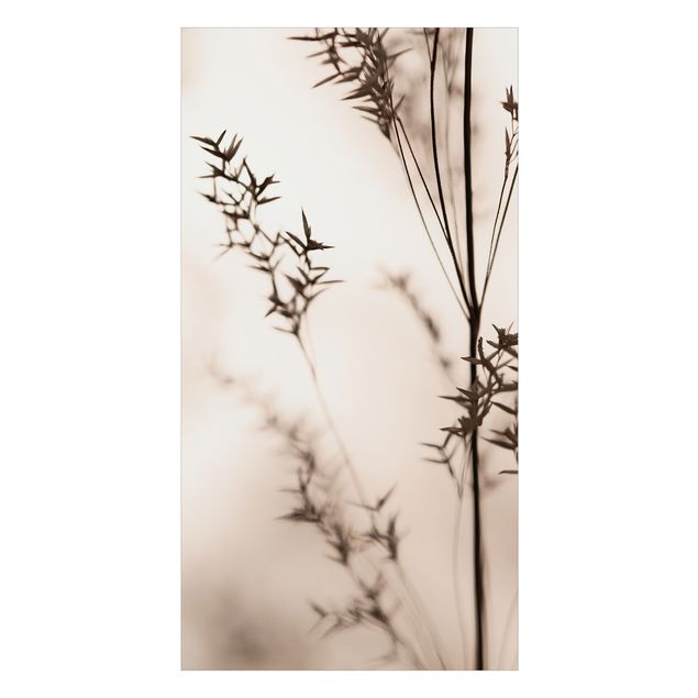 Tylna ścianka prysznicowa - Elegant Grass In The Shadow