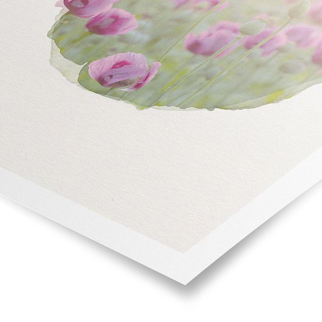 Obrazy z motywem kwiatowym Akwarele - Fioletowa łąka maków opiumowych na wiosnę