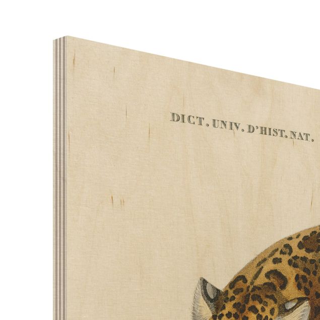 Obraz z drewna - Tablica edukacyjna w stylu vintage Jaguar