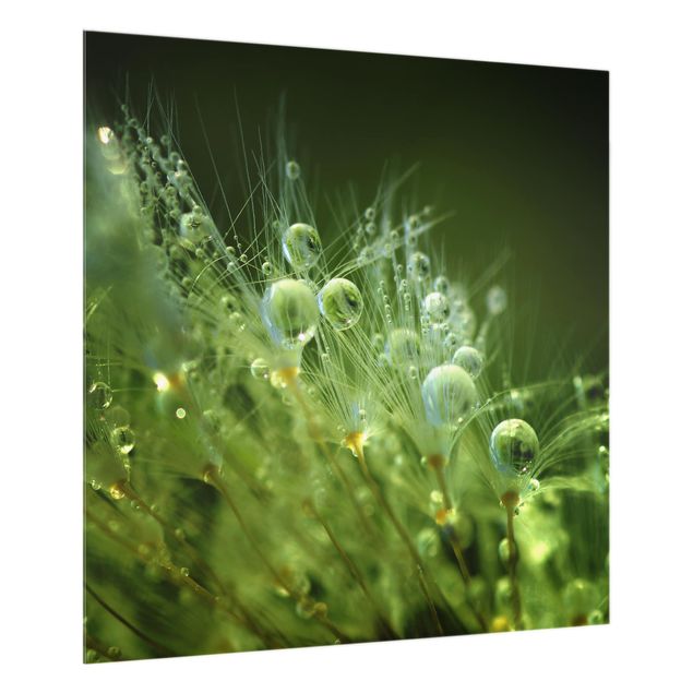 Panel szklany do kuchni - Zielone nasiona w deszczu