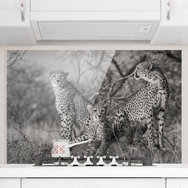 Dekoracja do kuchni Trzy gepardy