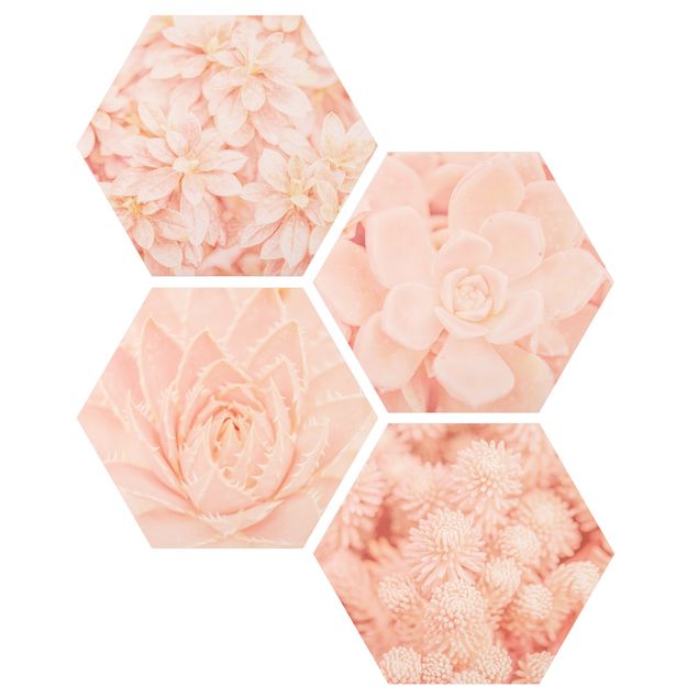 Obraz heksagonalny z Forex 4-częściowy - Magia różowego kwiatu