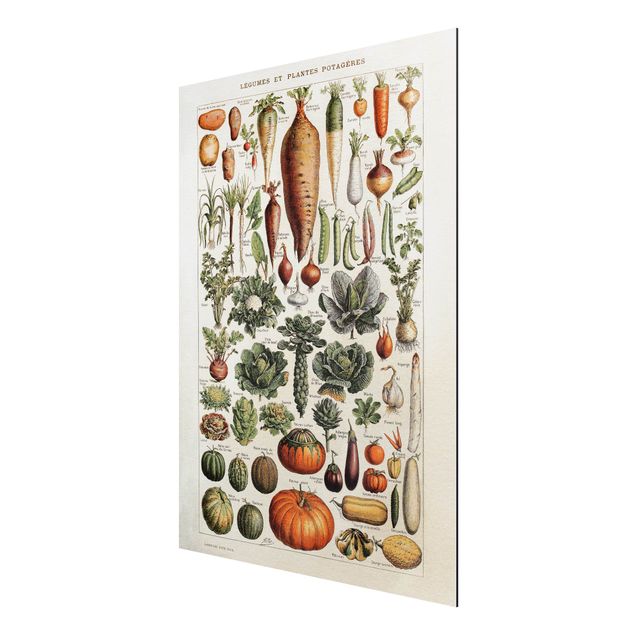 Obraz vintage Tablica edukacyjna w stylu vintage Warzywa