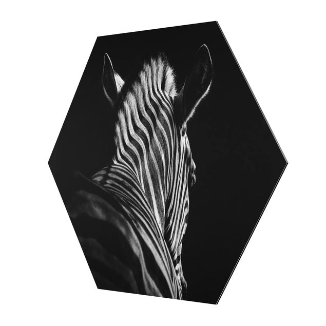 Obraz heksagonalny z Alu-Dibond - Sylwetka zebry ciemnej