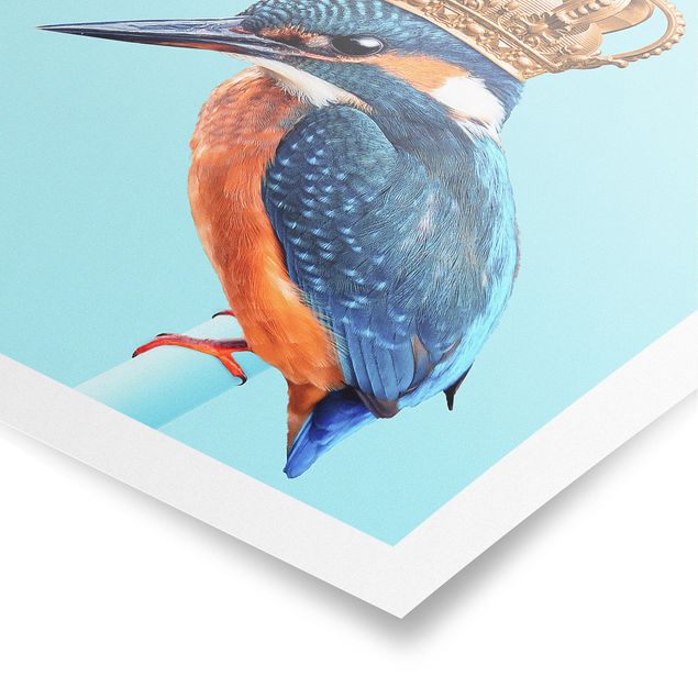 Obraz z niebieskim Lodowy ptak z koroną