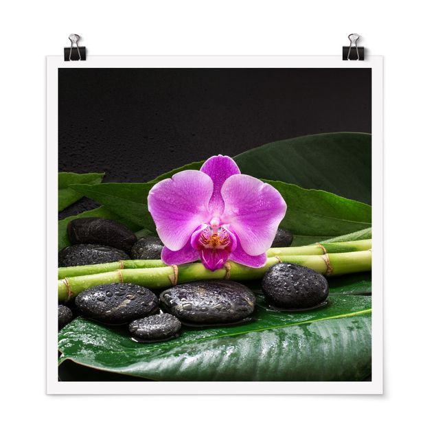 Obrazy nowoczesne Zielony bambus z kwiatem orchidei