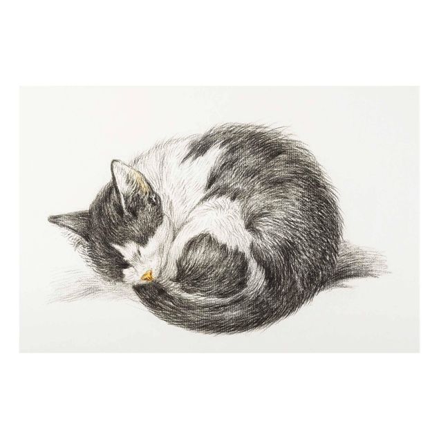 Obrazy na szkle zwierzęta Zabytkowy rysunek kot II