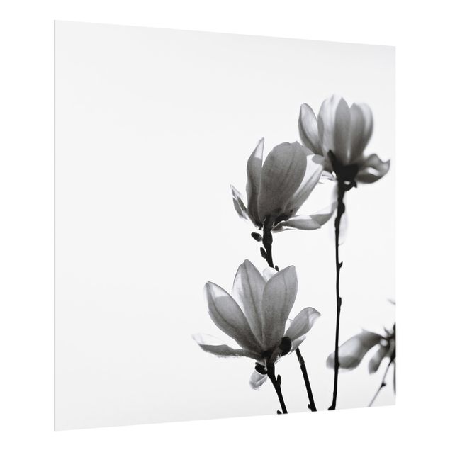 Panel szklany do kuchni - Spring Messenger Magnolia czarno-biały