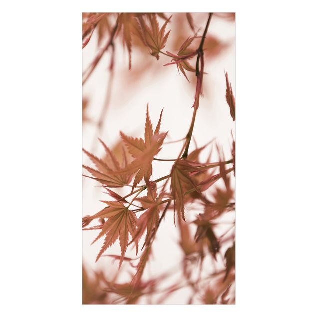 Tylna ścianka prysznicowa - Maple Leaf In Autumn Sun