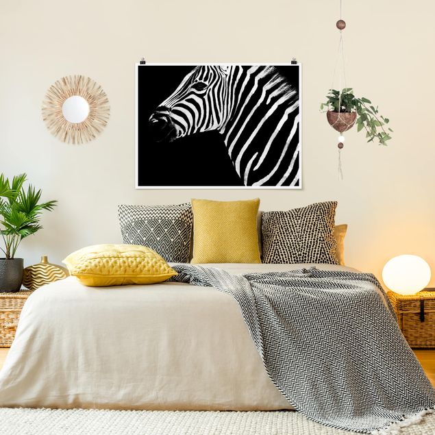 Dekoracja do kuchni Zebra Safari Art