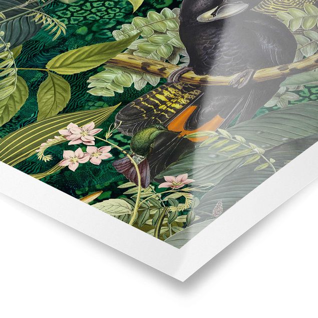 Zielony obraz Kolorowanka - Kakadu w dżungli