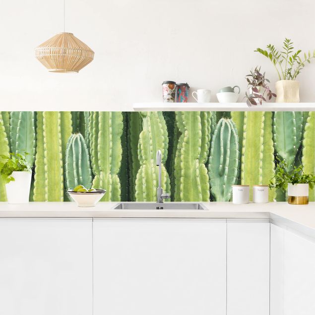 Folia samoprzylepna Ściana kaktusów