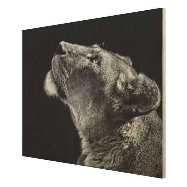 Obrazy na drewnie Portret lwicy