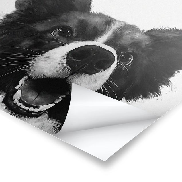 Plakaty czarno białe Ilustracja pies Border Collie czarno-biały malarstwo