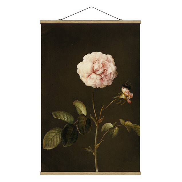 Obraz brązowy Barbara Regina Dietzsch - Róża octowa z trzmielem