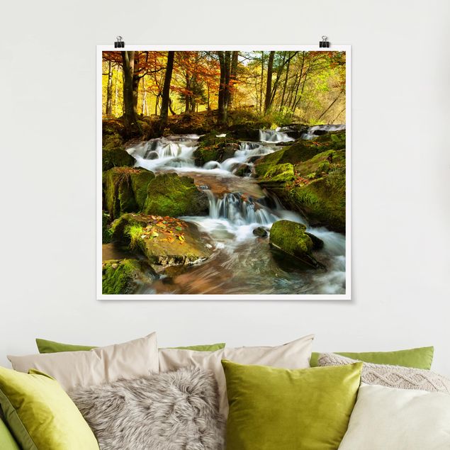 Obrazy do salonu Wodospad jesienny las