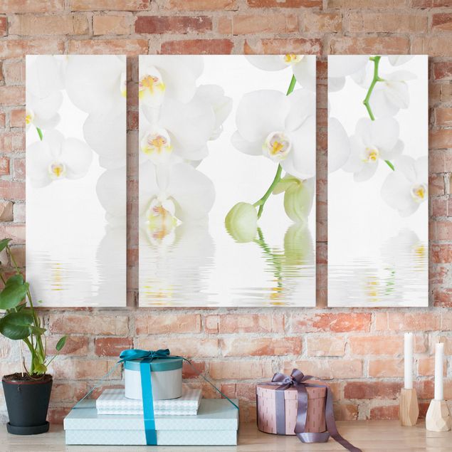 Nowoczesne obrazy do salonu Orchidea wellness - Orchidea biała