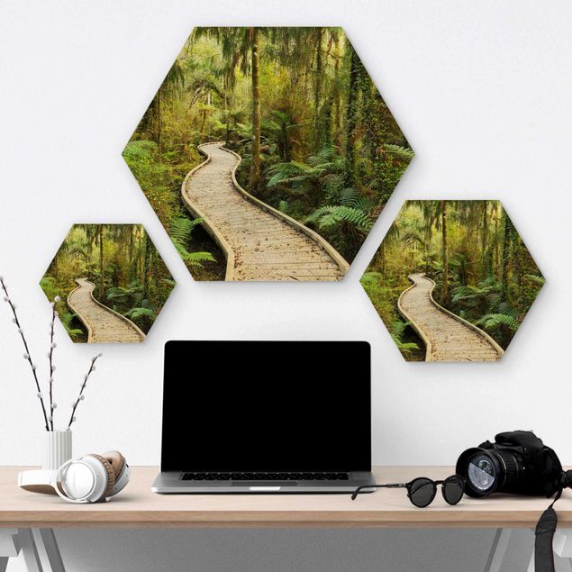 Obraz heksagonalny z drewna - Ścieżka w dżungli