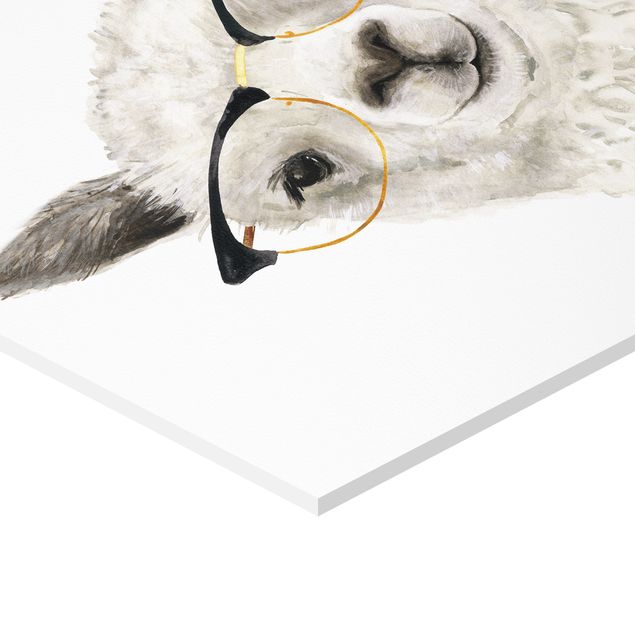 Obraz heksagonalny z Forex 3-częściowy - Hippy Llamas z zestawem okularów I