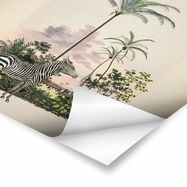 Obrazy Afryka Zebra na tle palm ilustracja