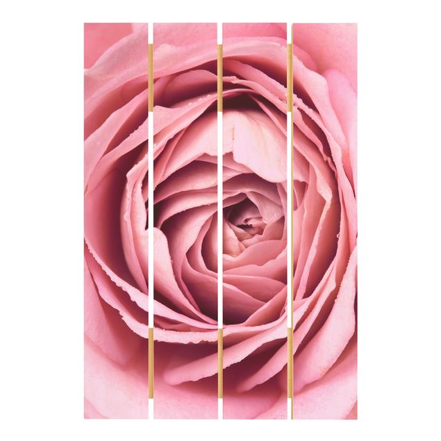 Obraz z drewna - Różowy kwiat róży